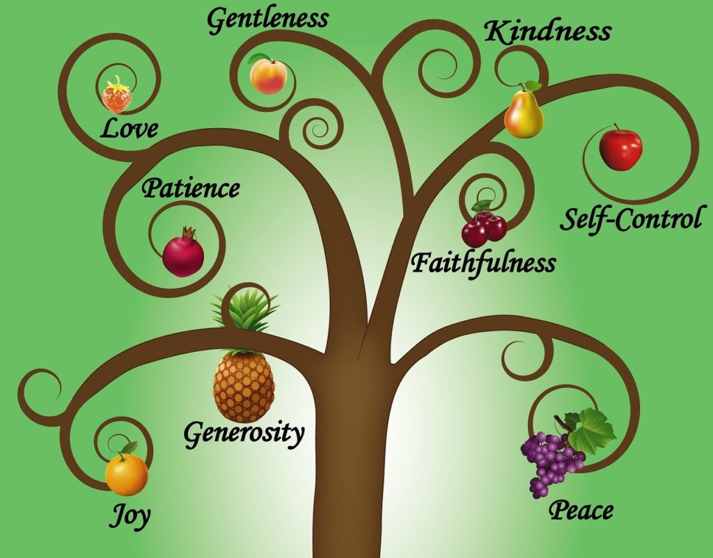 Fruits of the Spirit DonMcElyeaCom