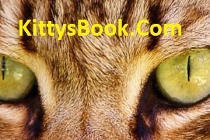 Social Media KittysBook.Com