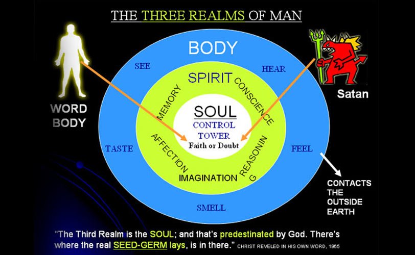 DonMcElyeaCom Dimensions of Man by God